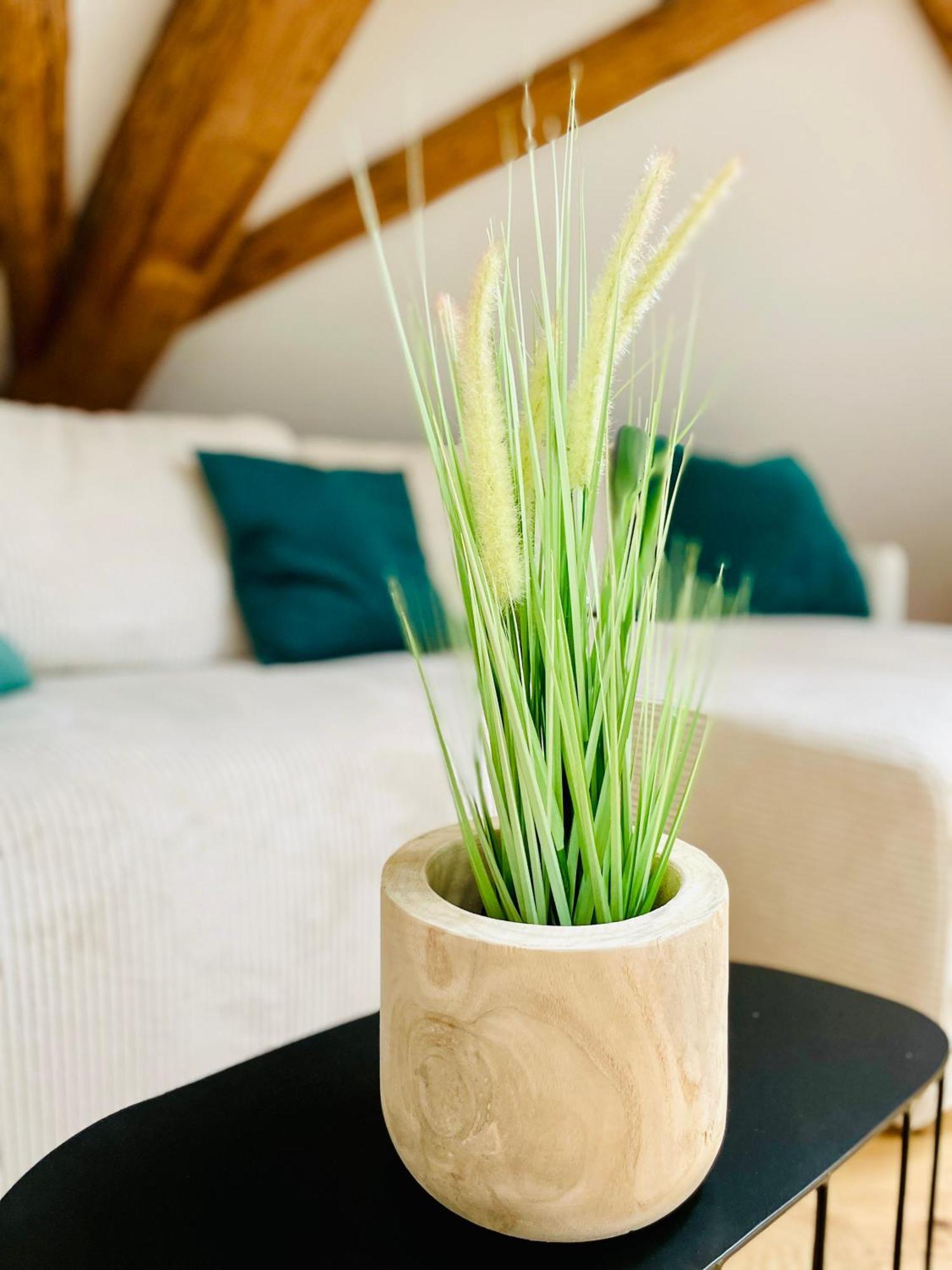 Appartement Villa Seeliebe Tägerwilen エクステリア 写真