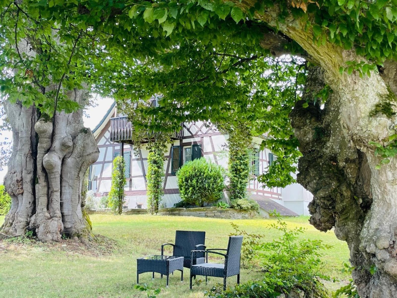 Appartement Villa Seeliebe Tägerwilen エクステリア 写真